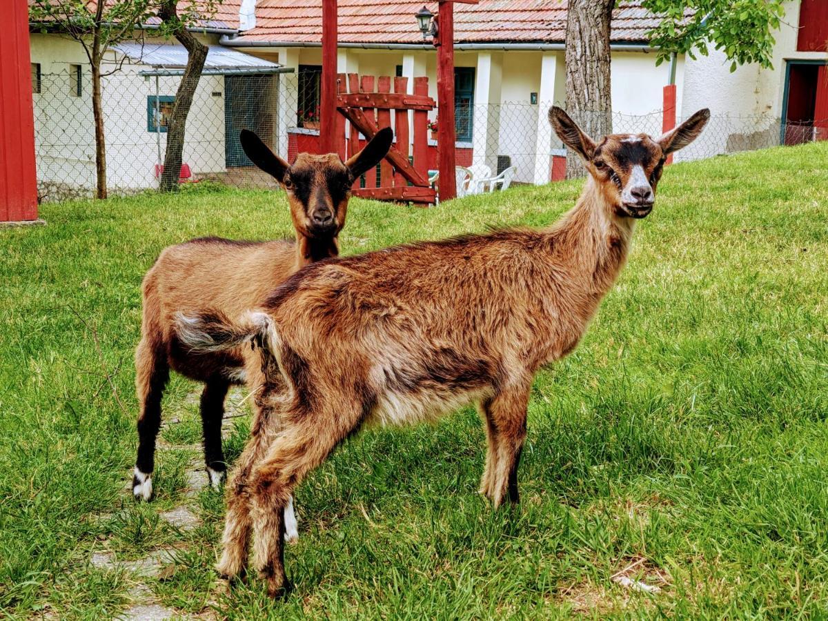Szilvásvárad Guest House Magyar Route 66 מראה חיצוני תמונה